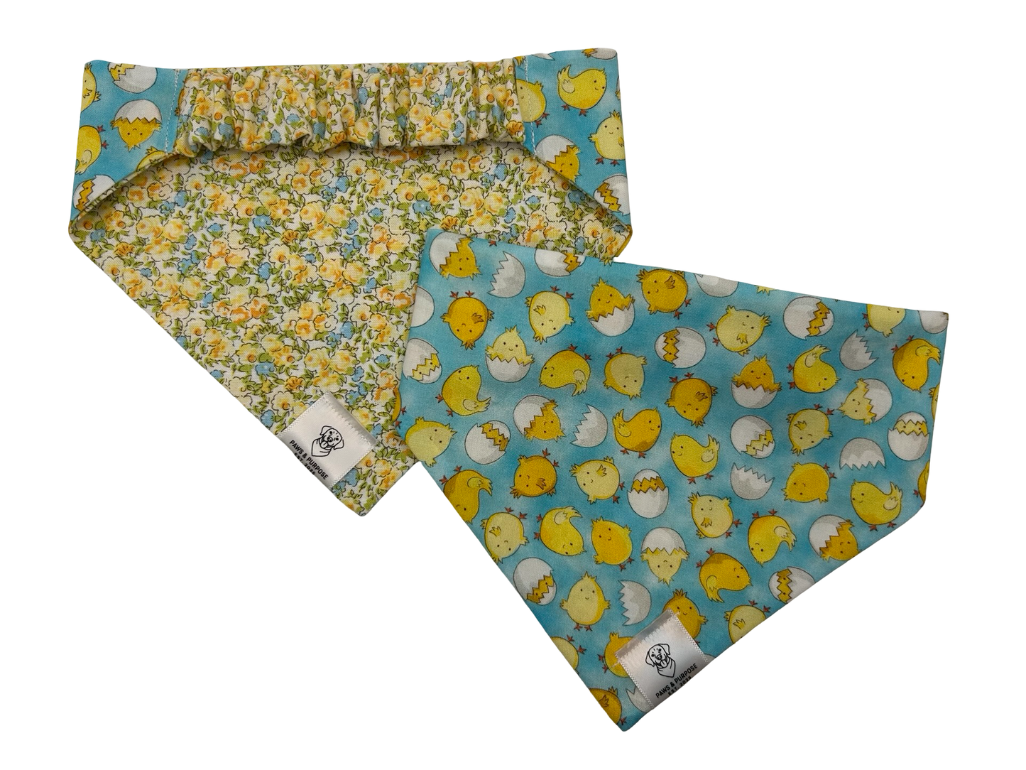 Hatching Chicks Bandana