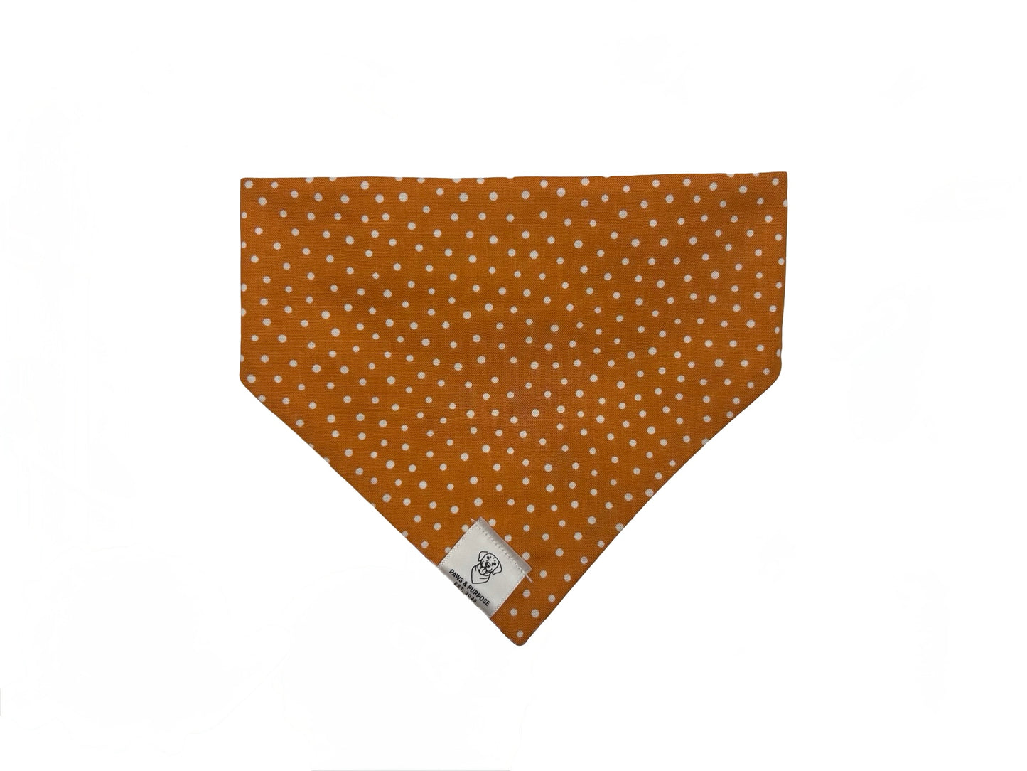 Carrot Patch Bandana