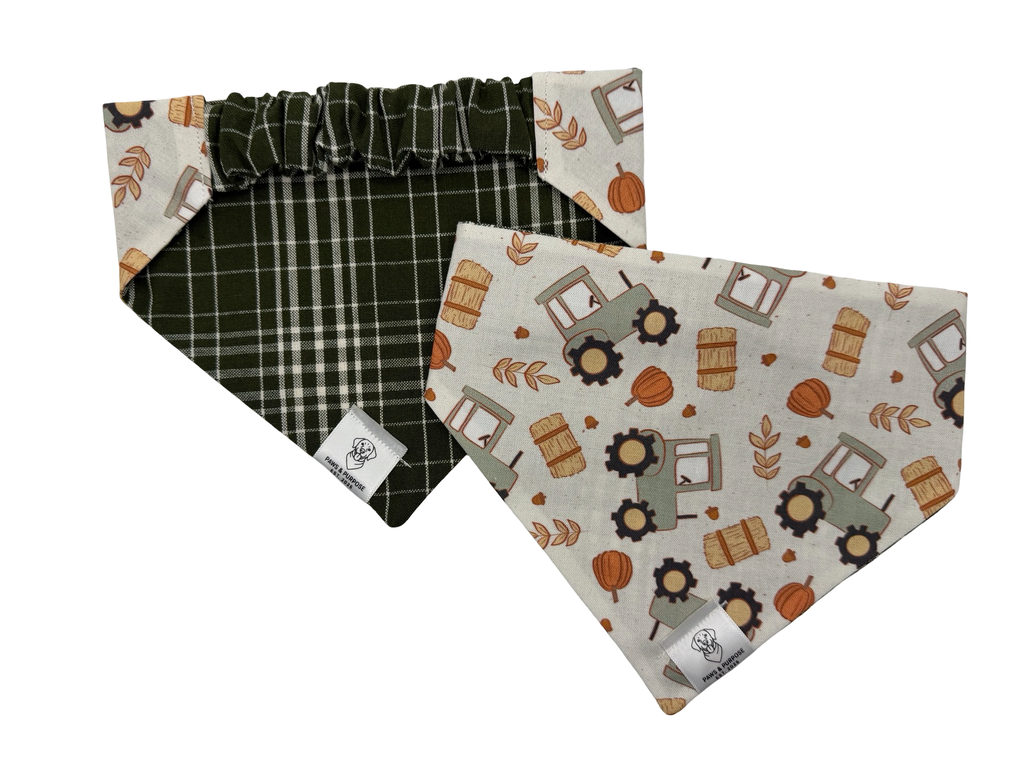 Harvest Time Bandana