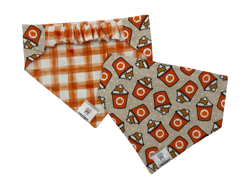 Pupkin Spice Bandana