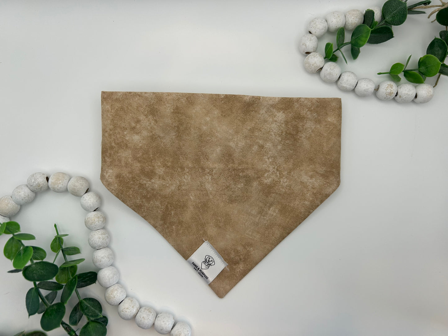 Neutral Bear Bandana