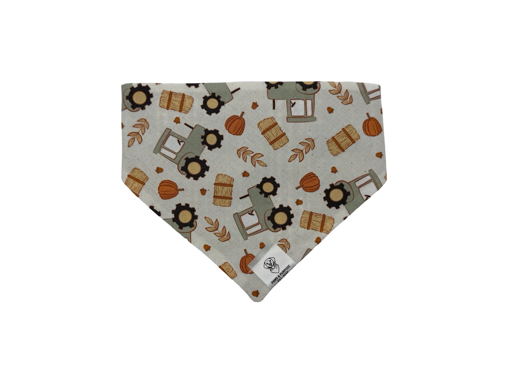 Harvest Time Bandana
