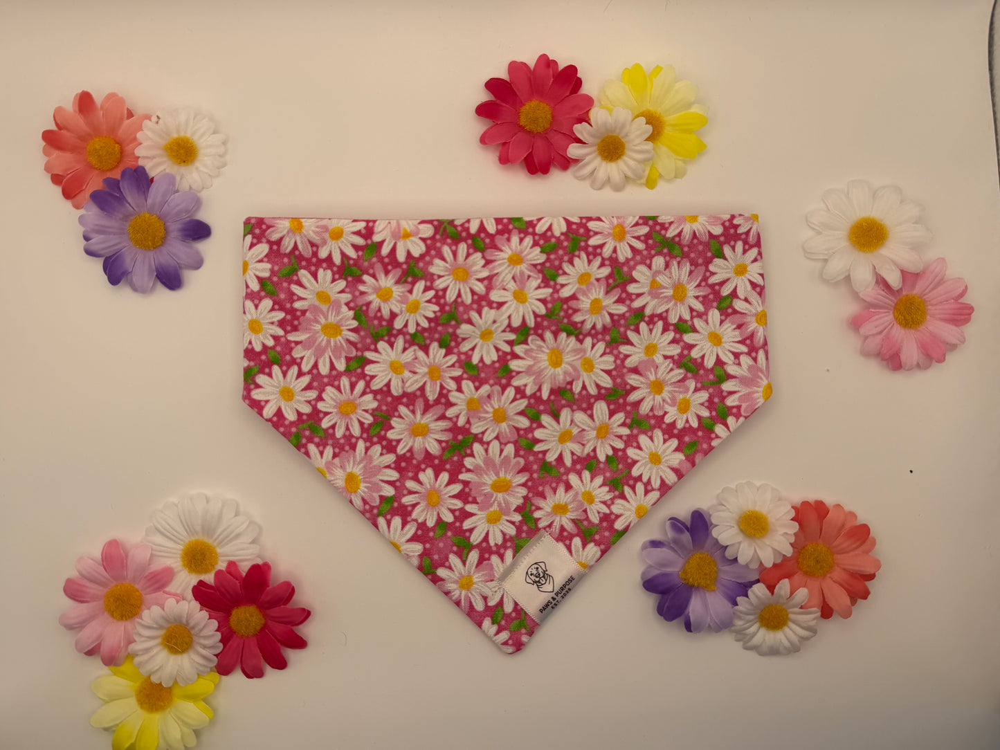 Pink Daisy Bandana