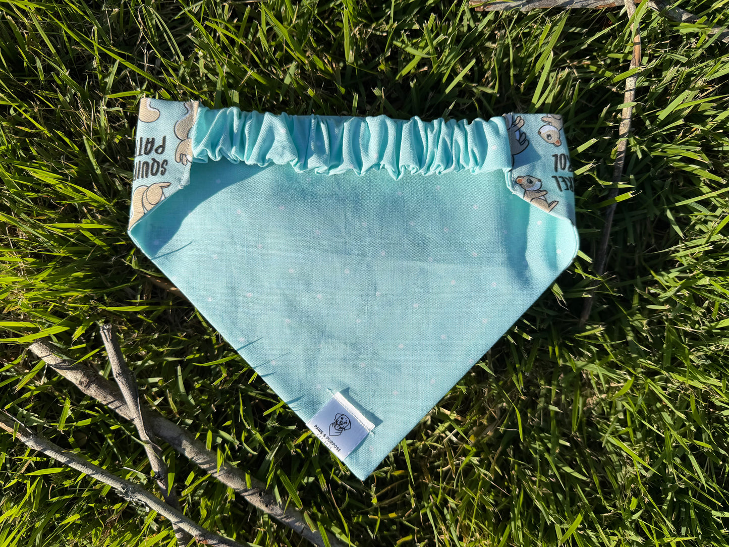 Squirrel Patrol Bandana