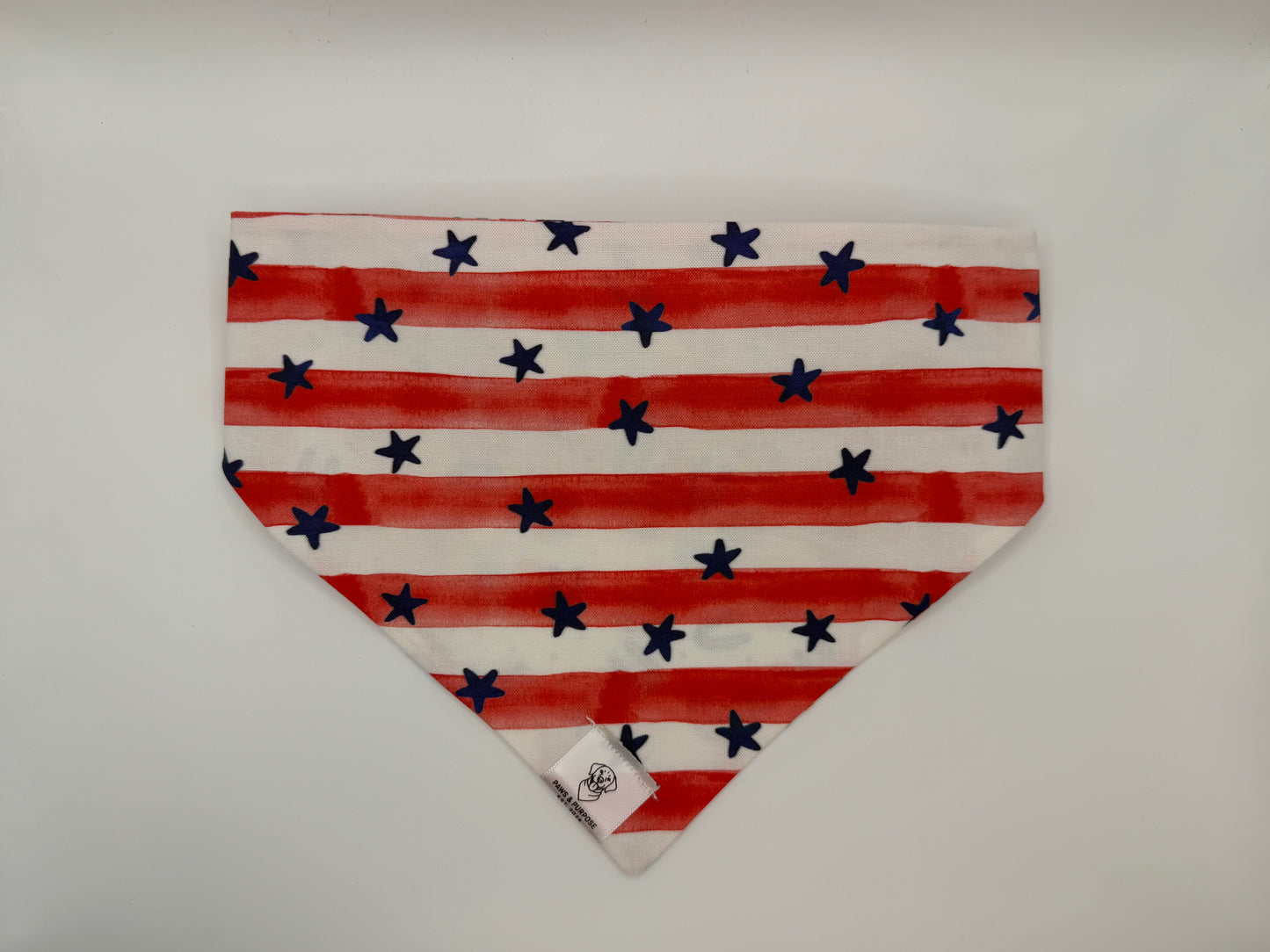 Party in the USA Bandana