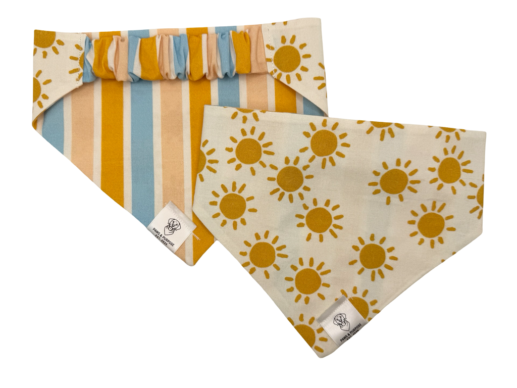 Golden Hour Bandana