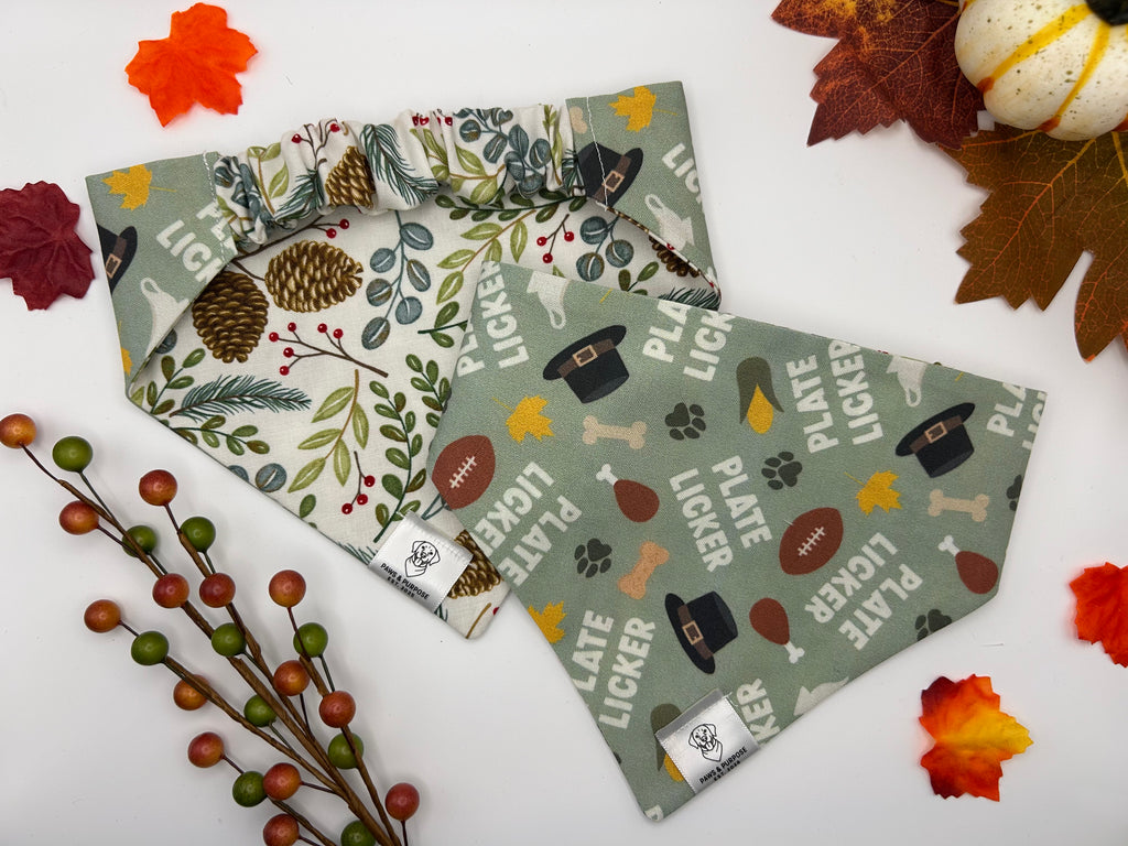 Plate Licker/Woodland Harvest Bandana