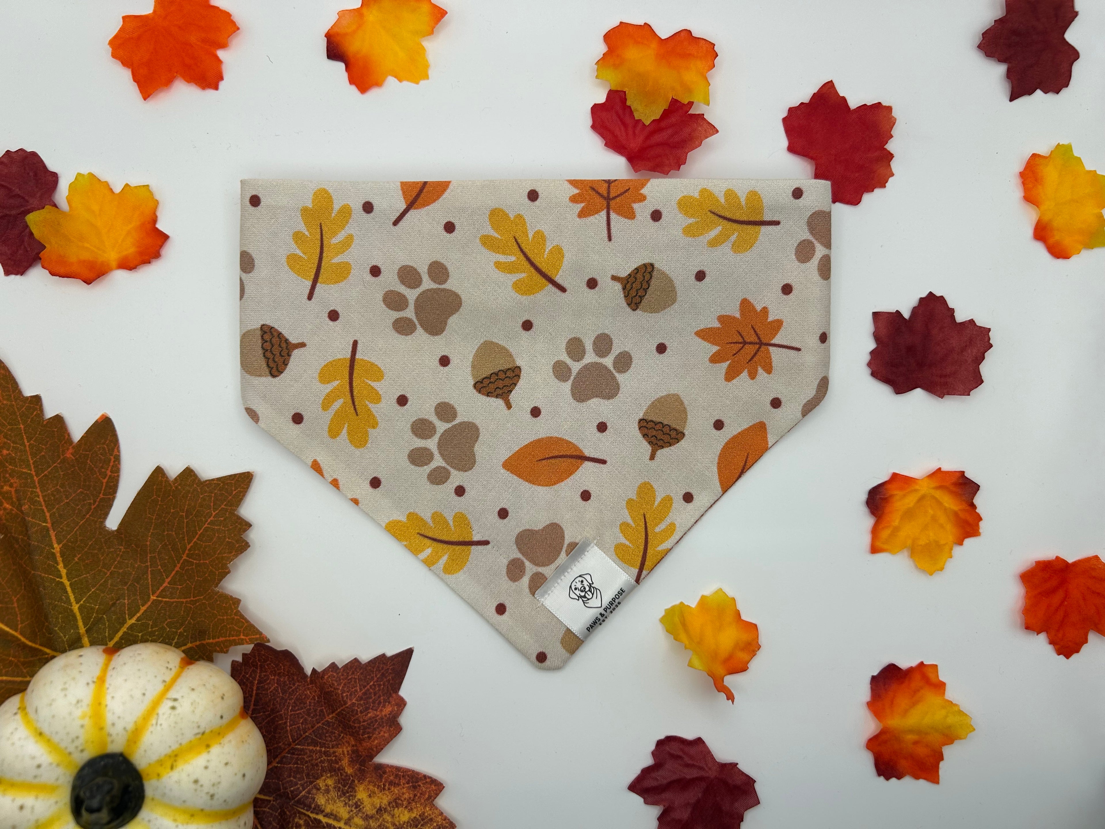 Autumn Paws/Rust Plaid Bandana