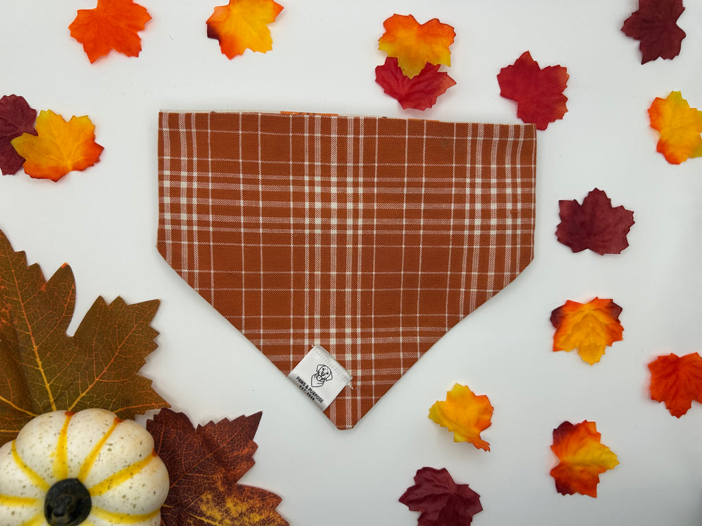 Autumn Paws/Rust Plaid Bandana