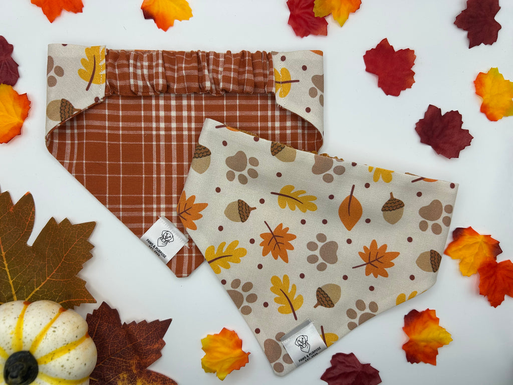 Autumn Paws/Rust Plaid Bandana