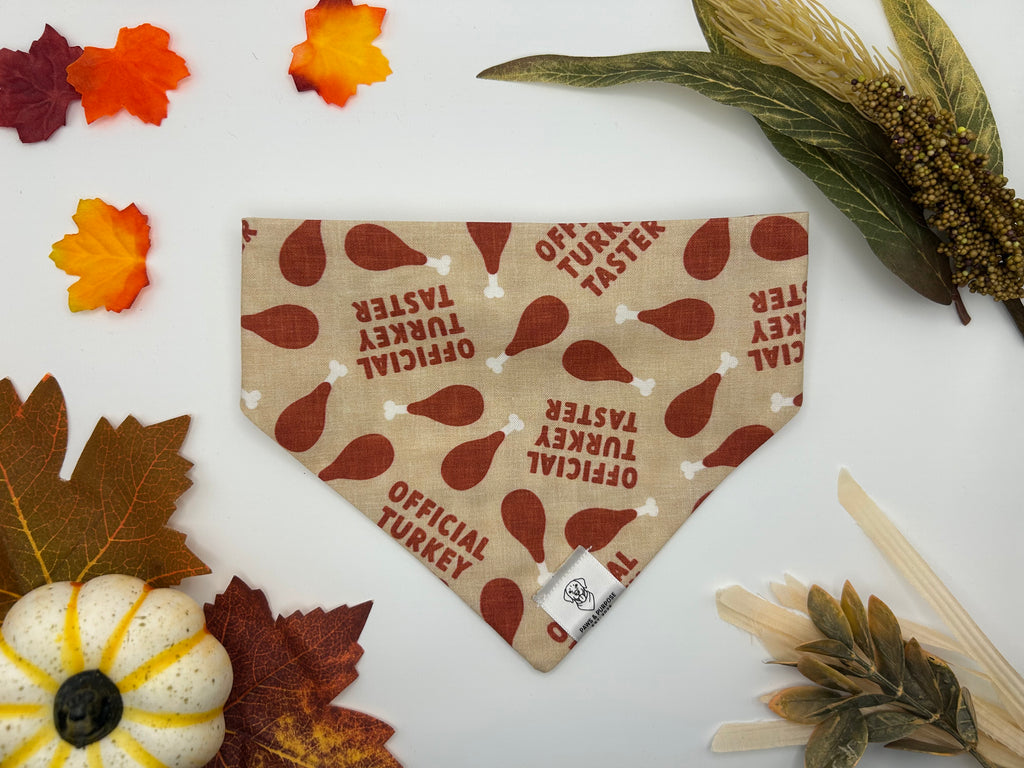 Official Turkey Taster/Gingham Bandana