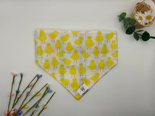 Little Chick Bandana