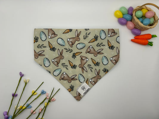 Hop Into Spring Bandana