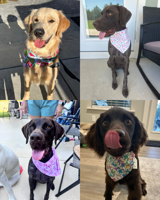 Special Order Bandanas